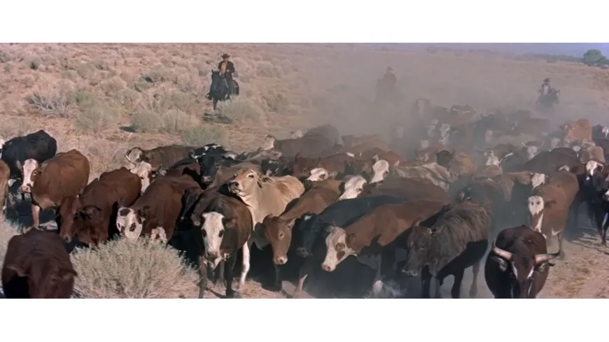 Die Rache des Texaners - Kinofassung (in HD neu abgetastet)