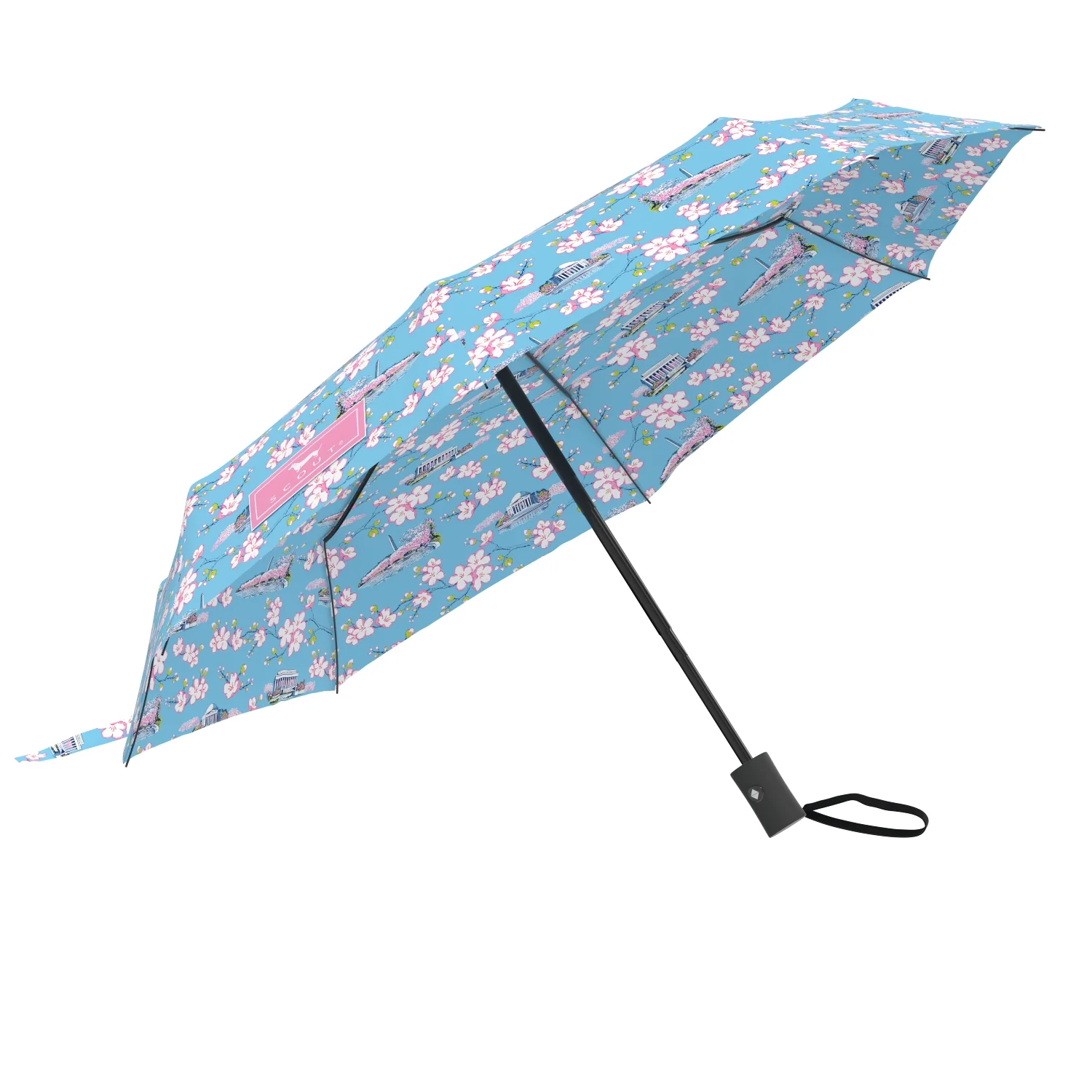Umbrella High and Dry