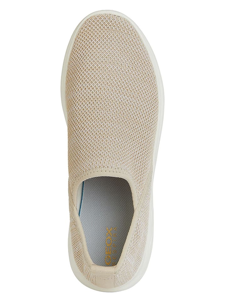 Geox Slipper 