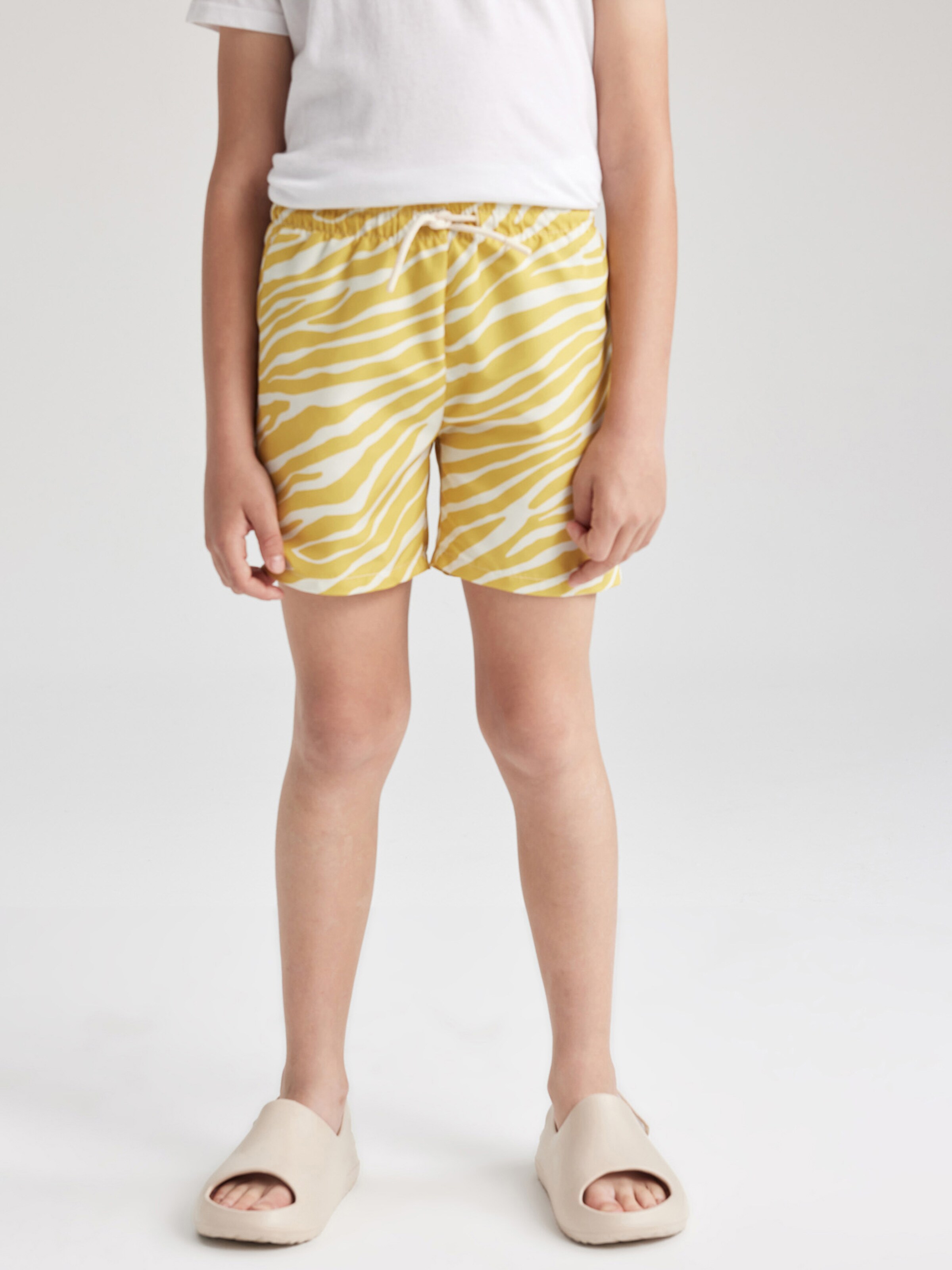 Board Shorts