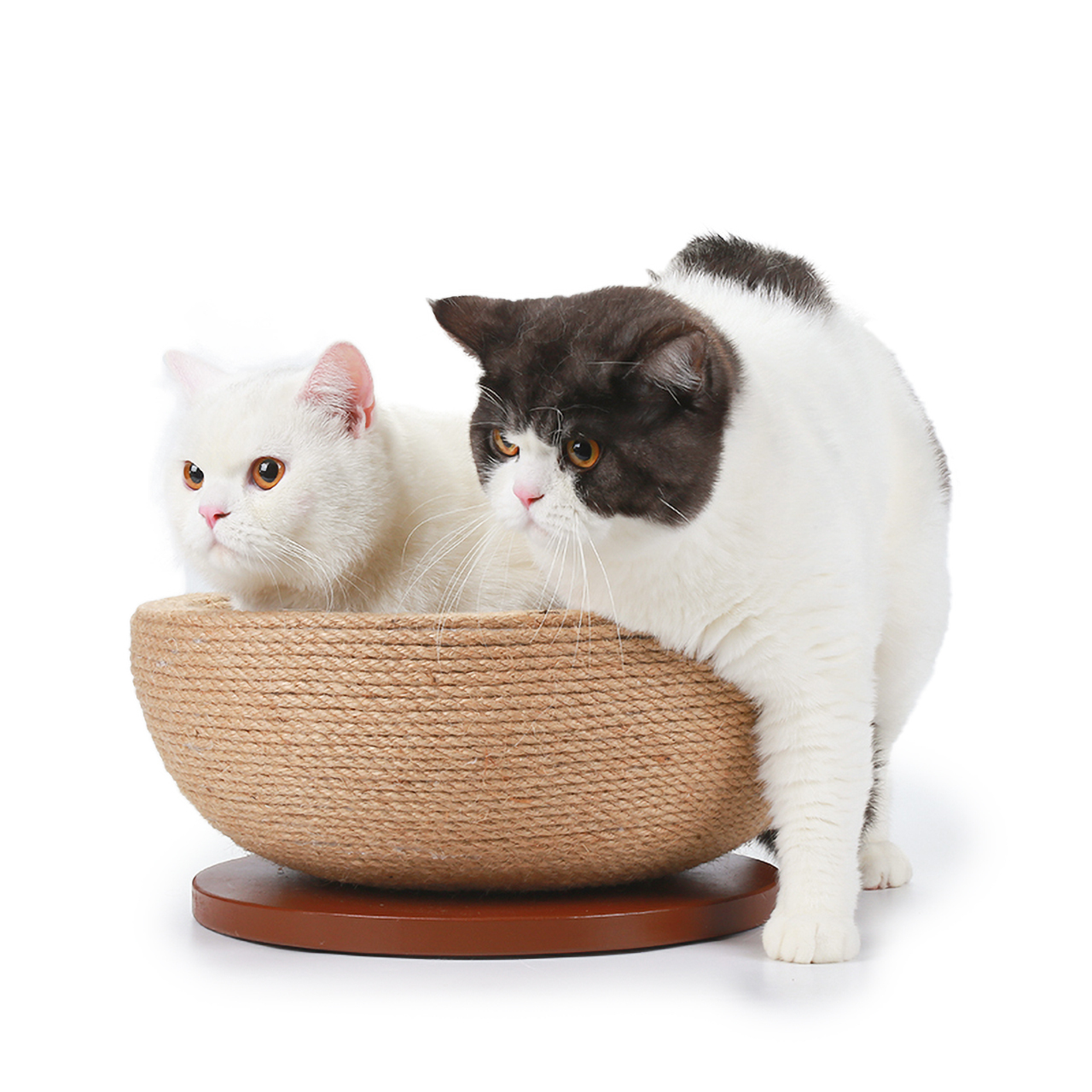 Canadian Cat Company Kratzbretter & Kratzpappen Canadian Cat Company Sisal-Kratzschale Bowl