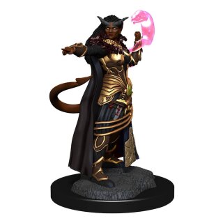 D&D Nolzur's Marvelous Miniatures: Tiefling Sorcerer Female (2)