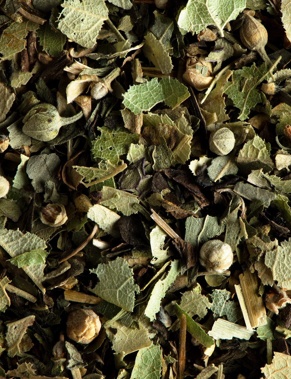 Tilleul menthe poivrée-24 sachets enveloppés