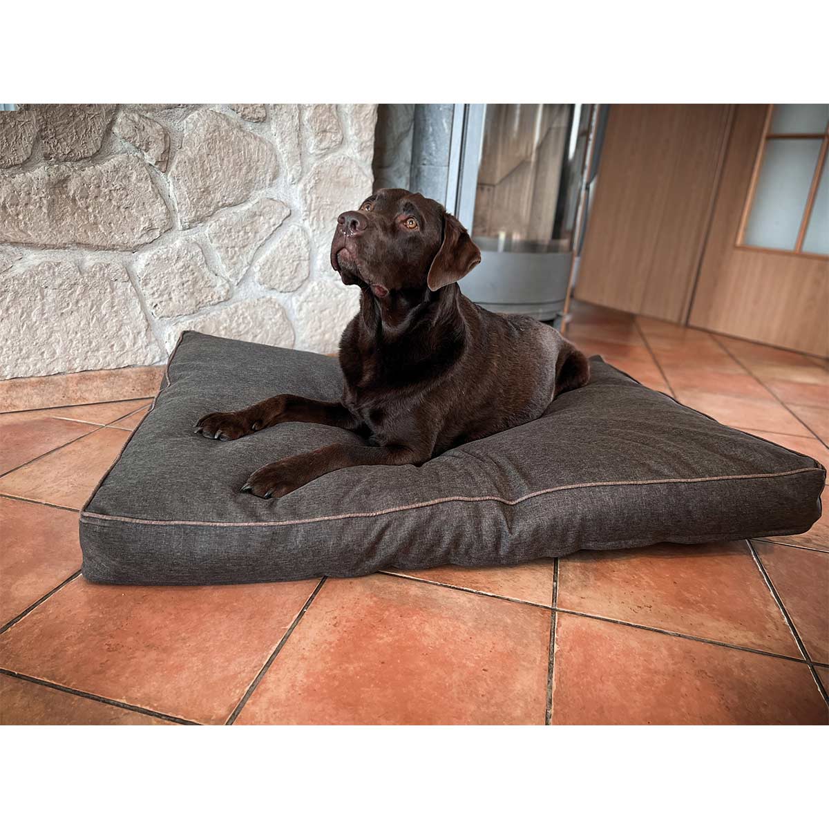 Aumüller Hundebett Basic Line Braun günstig kaufen bei ZooRoyal