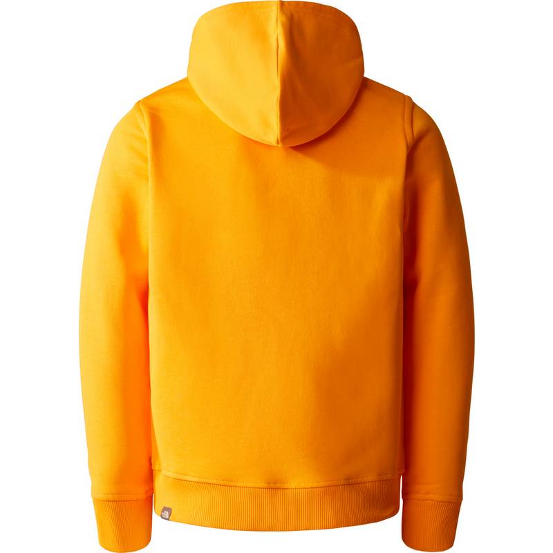 The North Face Off Mountain Logowear Hoodie Jungen