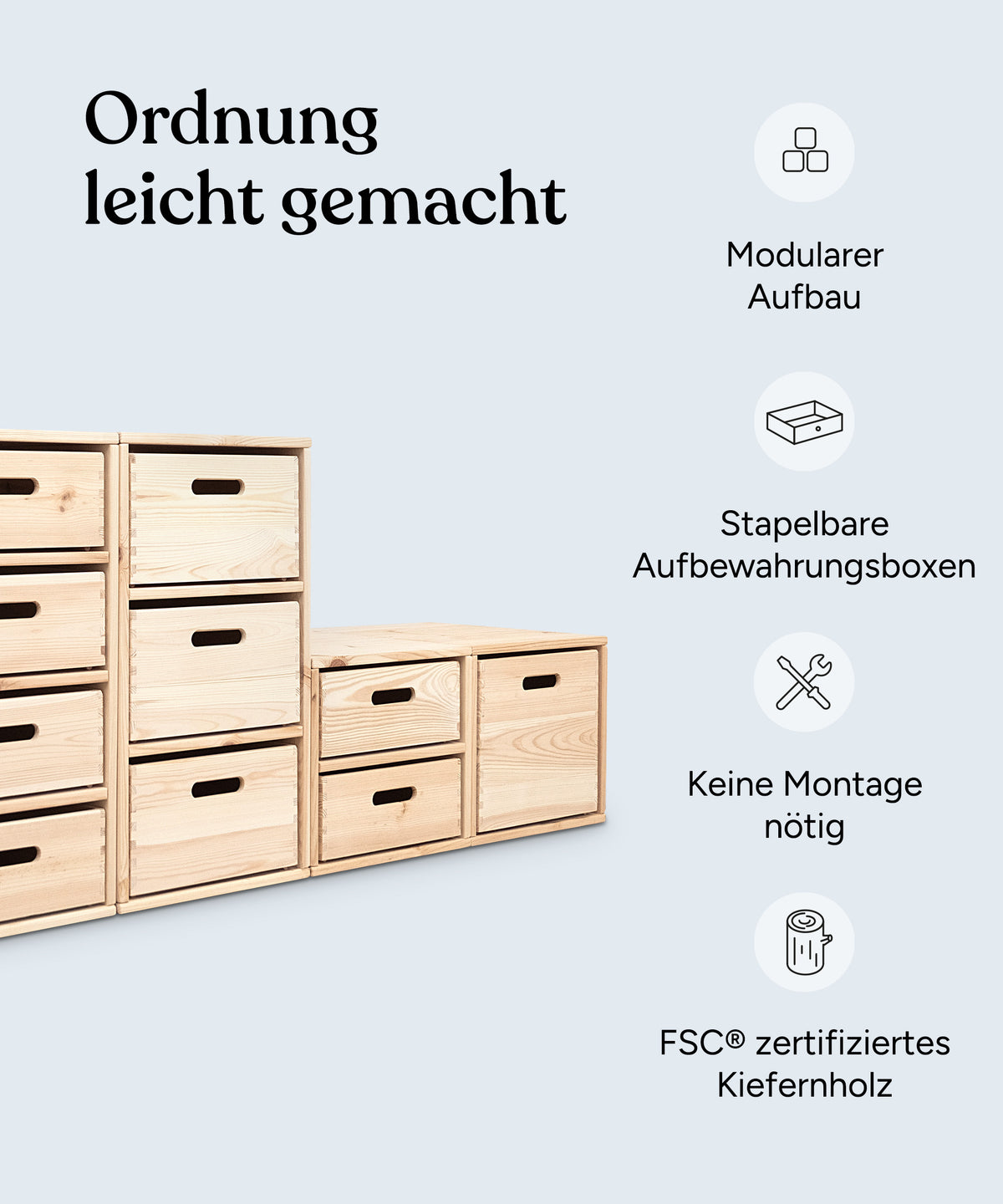 Aufbewahrungssystem Kiefer