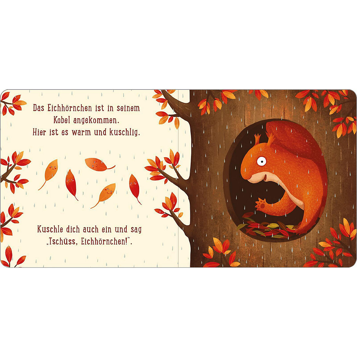 Ein Tag im Wald: Eichhörnchen