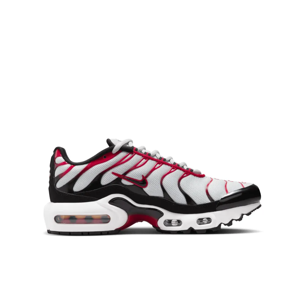 Nike Air Max Plus CD0609-027 / grau