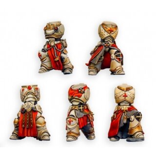 Imperial Crusaders Prime Bodies (5)