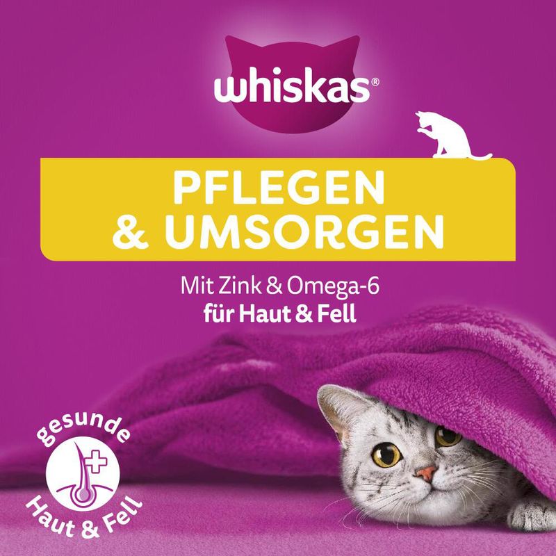 Whiskas Snacks Groom & Care zu TOP-Preisen