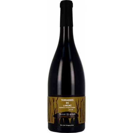 TERROIR D'ALTITUDE - LAMBRUSQUES 2020 - JM AUJOUX
