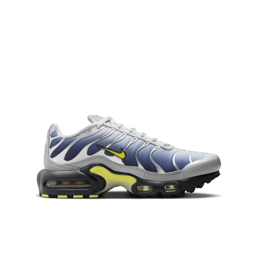 Nike Air Max HF0030-001 / grau