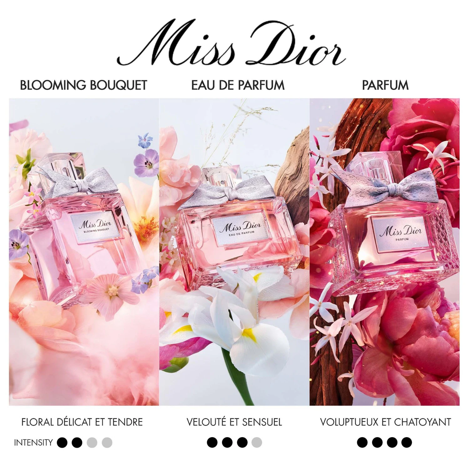 DIOR Blooming Bouquet - Sveže in nežne note