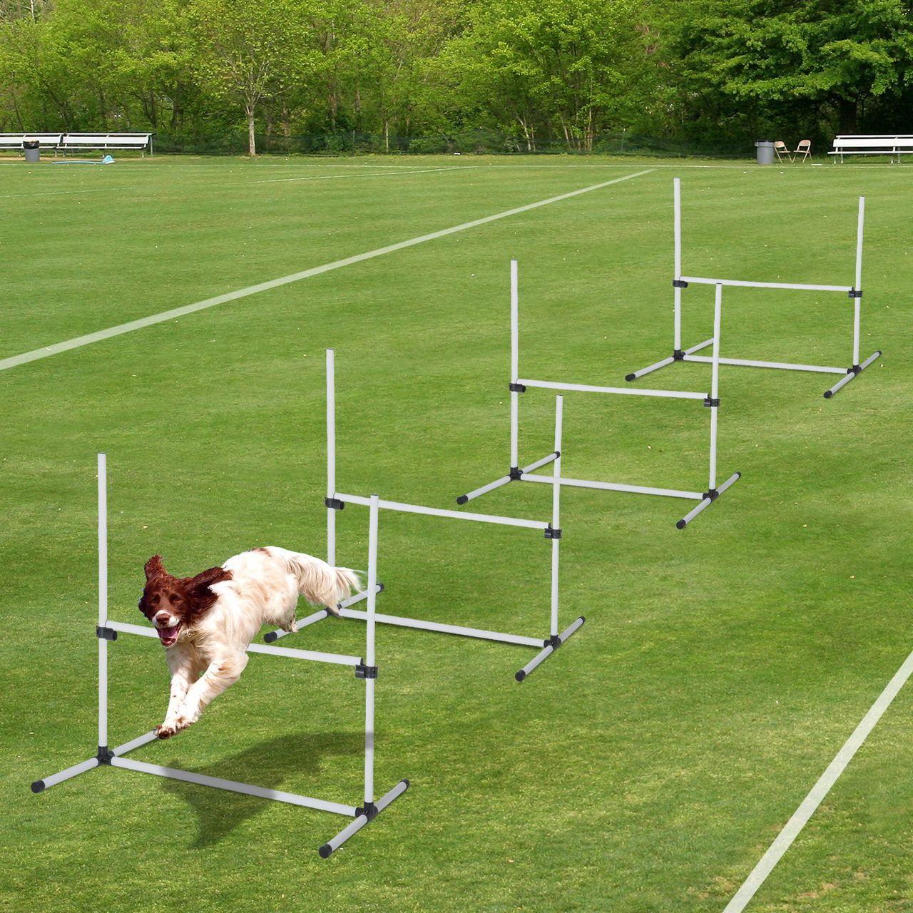 PawHut Agility Hürdenset Slalom Stangen Hunde Training Set 4 x Hürden Weiß