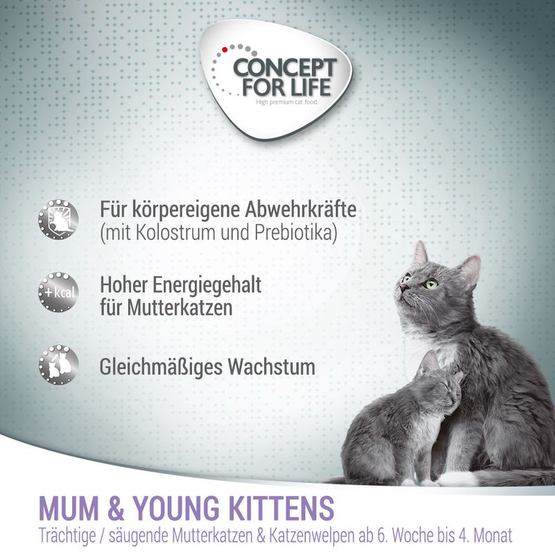 Concept for Life Mum & Young Kittens Mousse