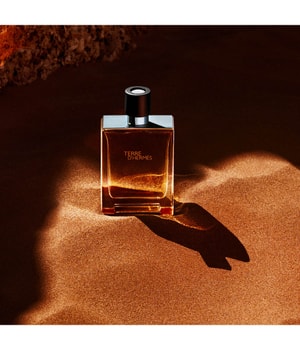 HERMÈS Terre d'Hermès   Eau de Toilette 50 ml