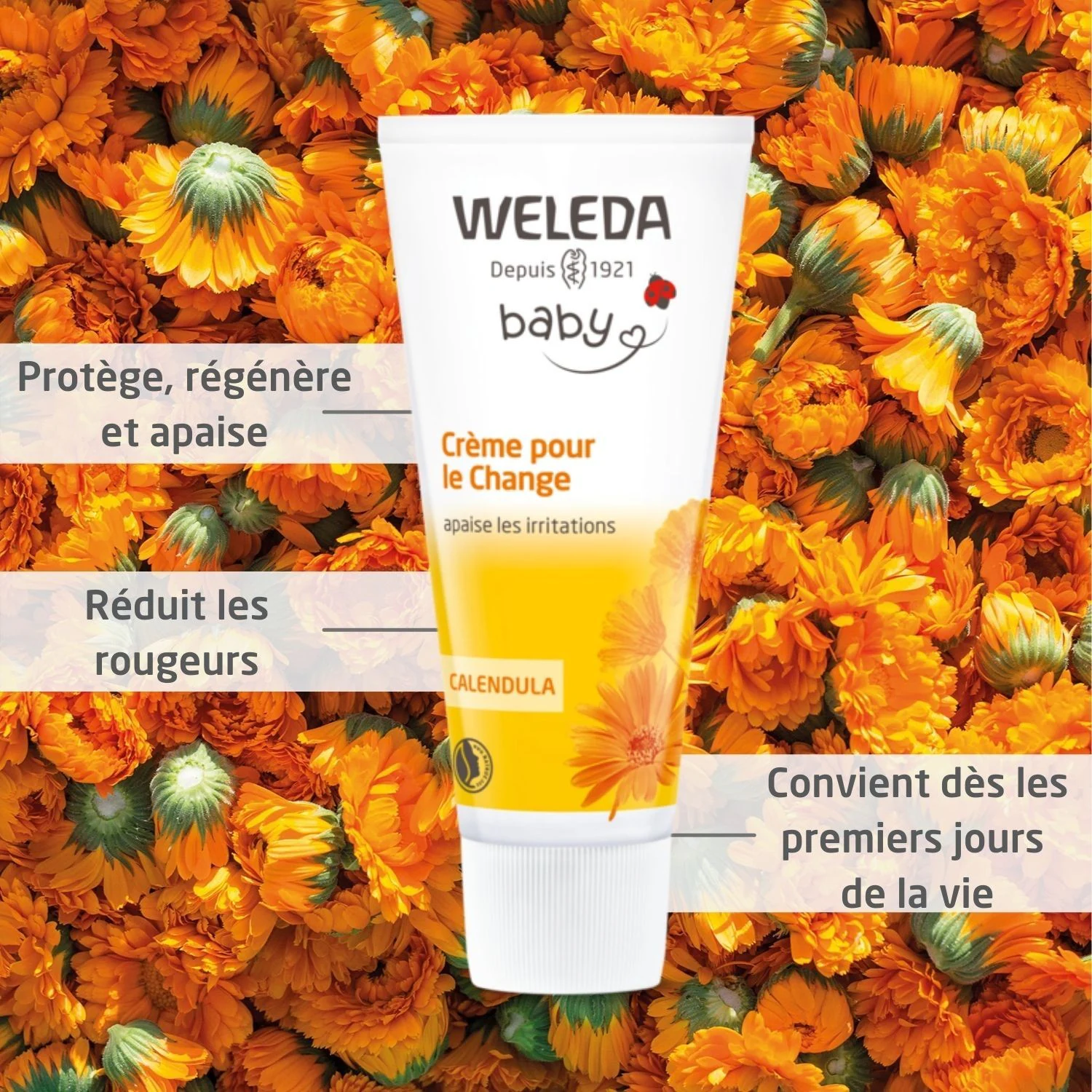Weleda krema za pelene za bebe - 75 ml