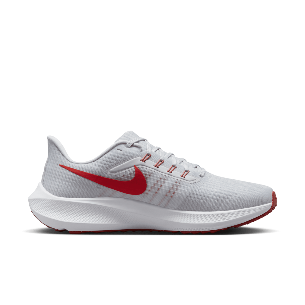 Nike Air Zoom Pegasus 39 DH4071-009 / grau