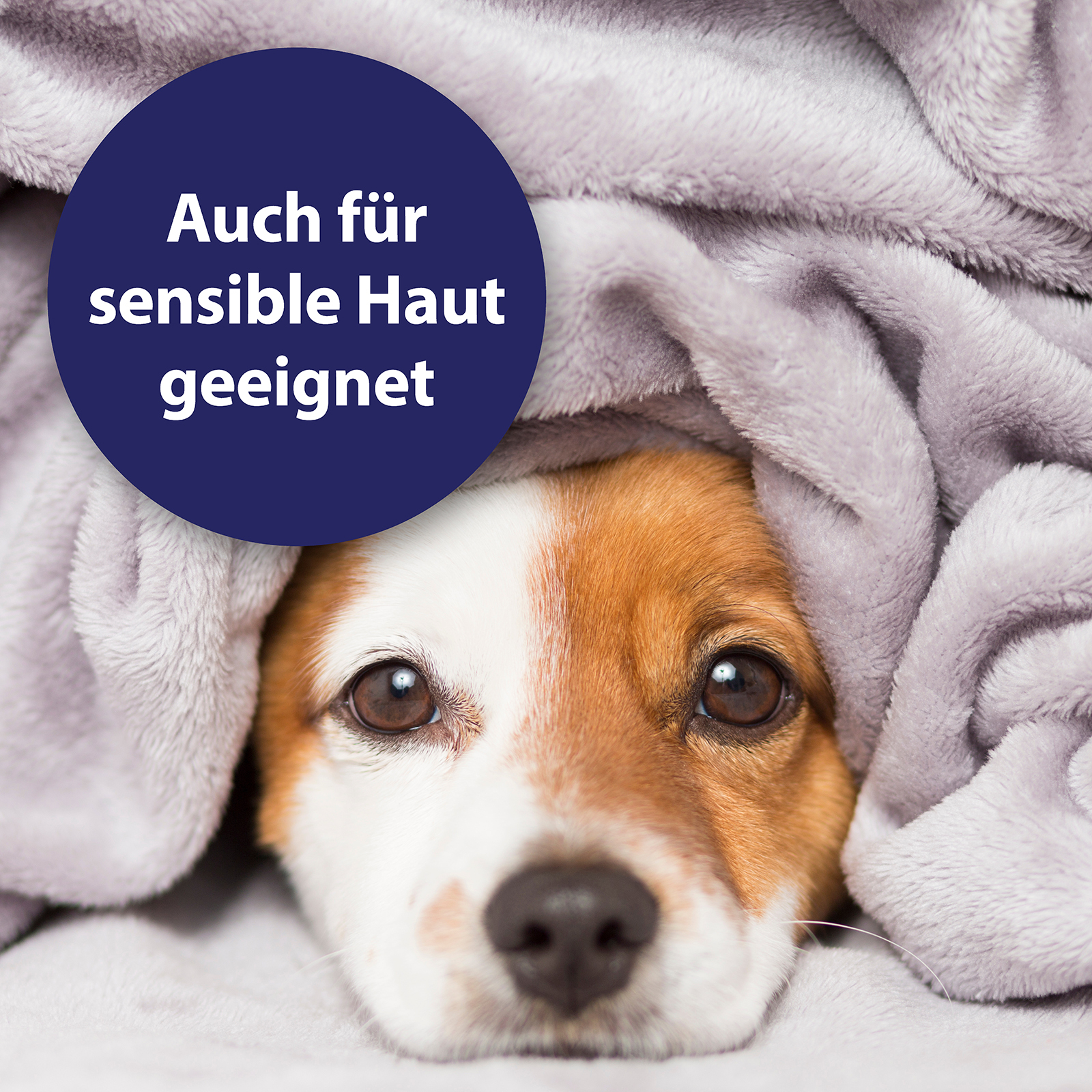 Canosept Augen- & Ohrenpflege Canosept Augenpflege für Hunde 120 ml