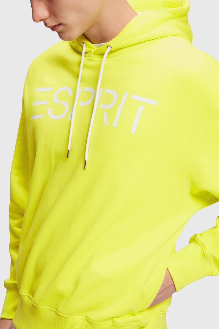 Logo-Hoodie