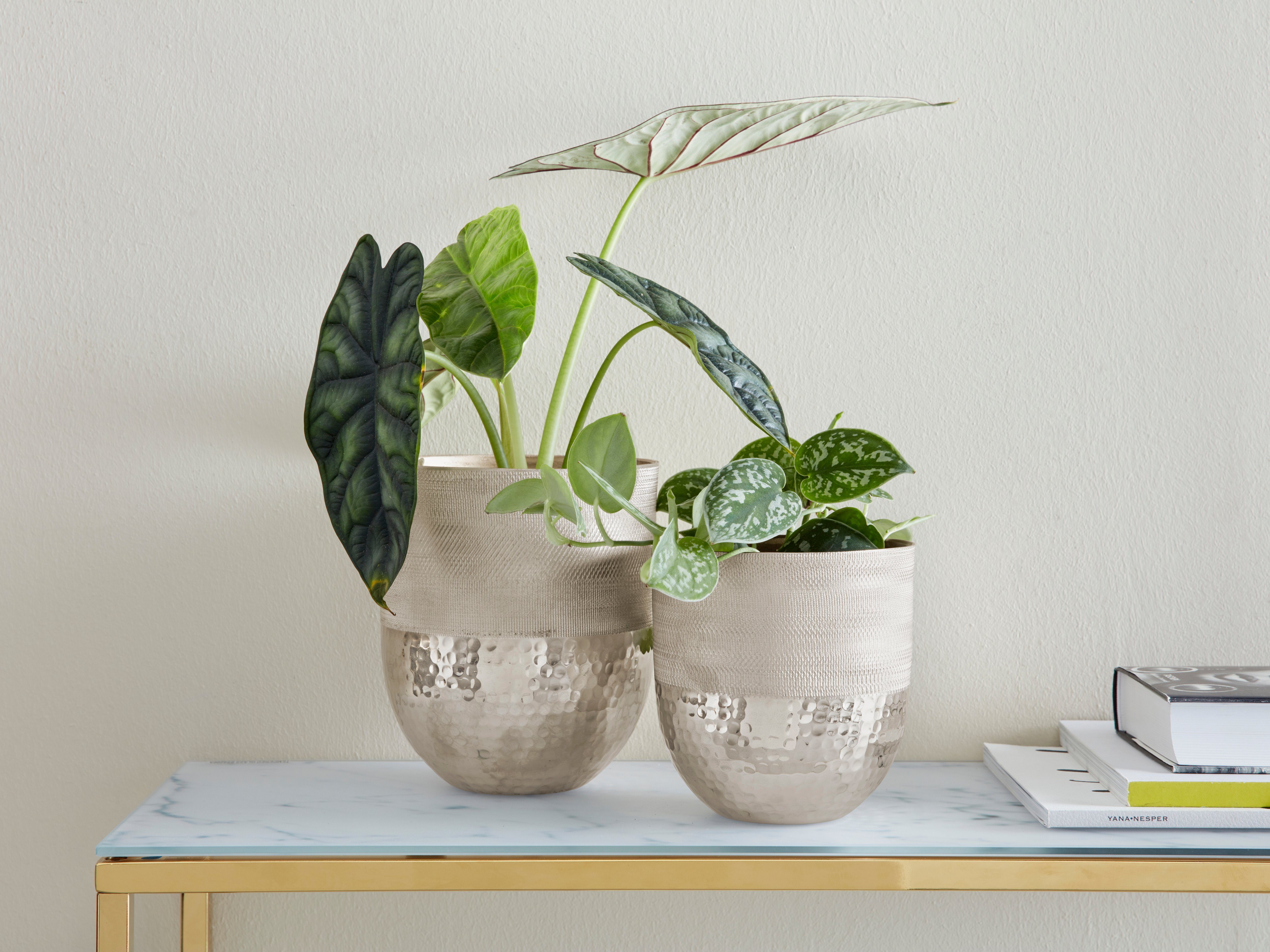 Guido Maria Kretschmer Home&Living Übertopf Ritje (2 St), 2er-Set, aus Aluminium