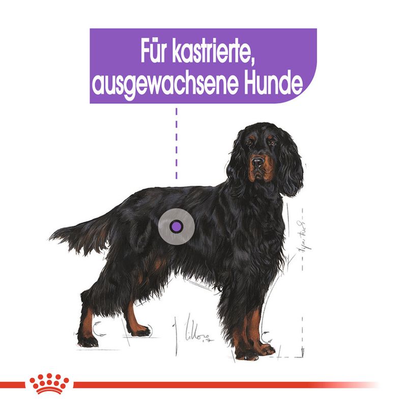 Royal Canin Sterilised Maxi zu TOP-Preisen
