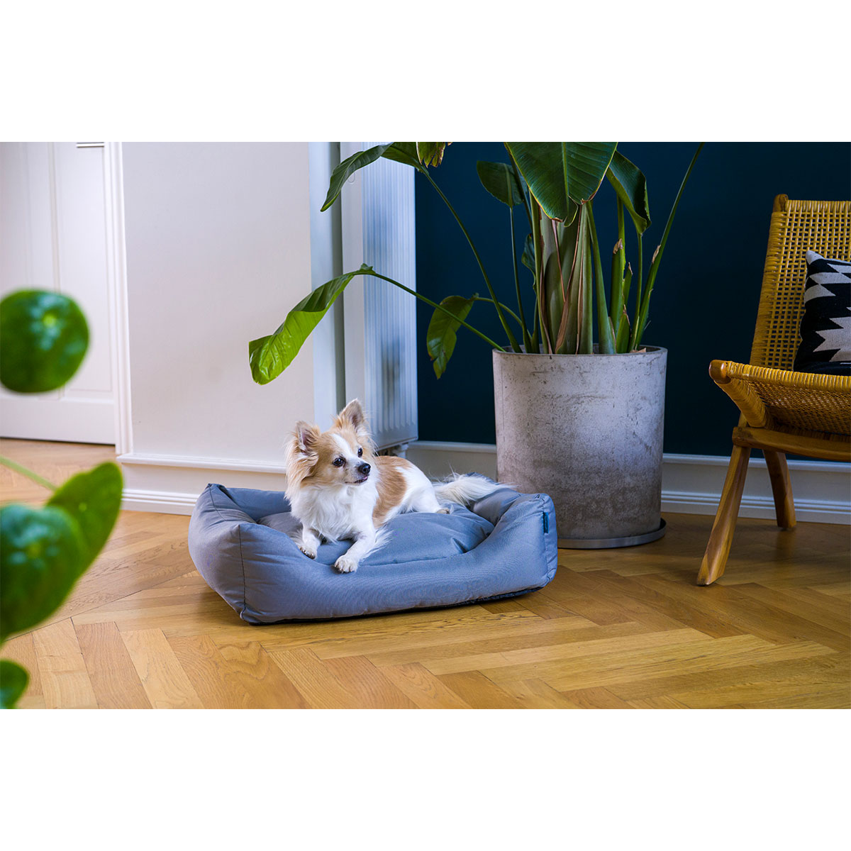 ZooRoyal Outdoorbett Noah günstig kaufen