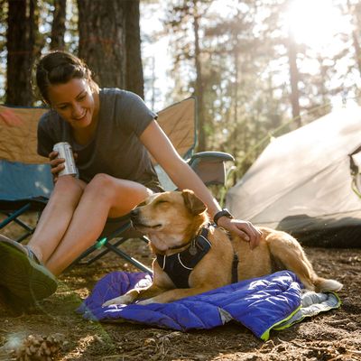 Ruffwear Front Range Hundegeschirr, Blue Moon