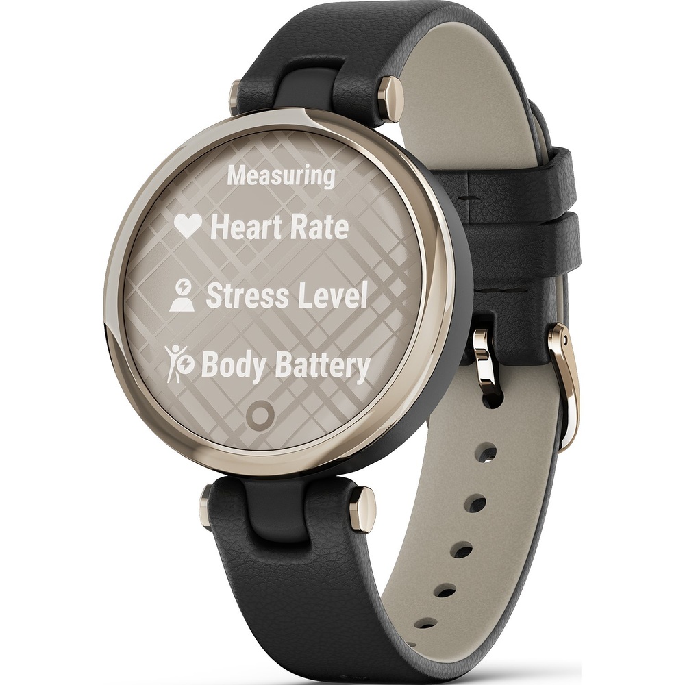Garmin Montre intelligente Matière synthétique, Acier inoxydable Montre