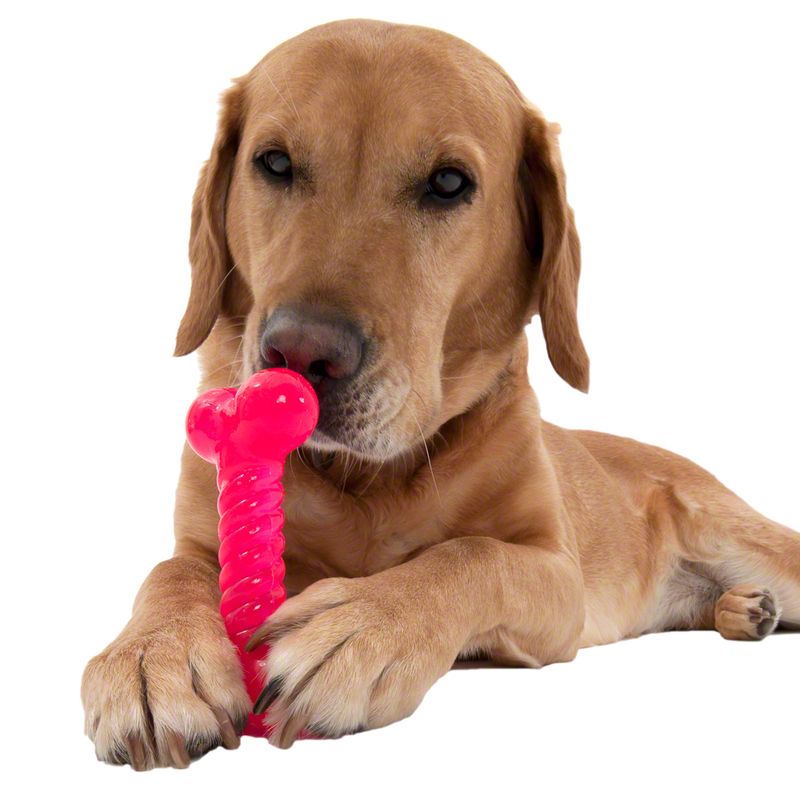 Hundespielzeug TPR Knochen zu TOP-Preisen