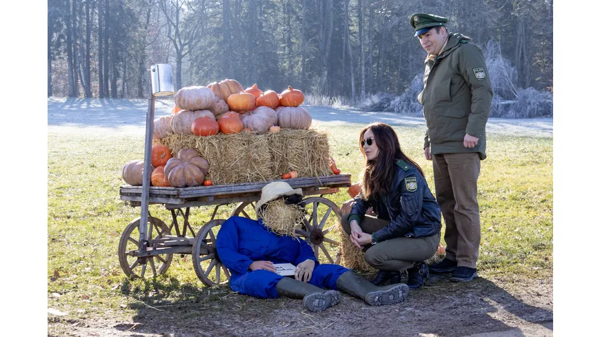 2Hubert ohne Staller - Staffel 12  [2 BRs]