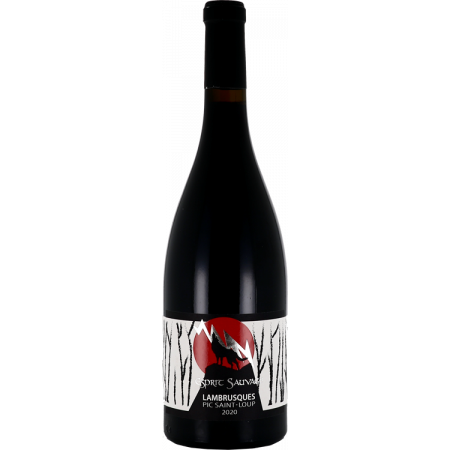 ESPRIT SAUVAGE - LAMBRUSQUES 2021 - JM AUJOUX