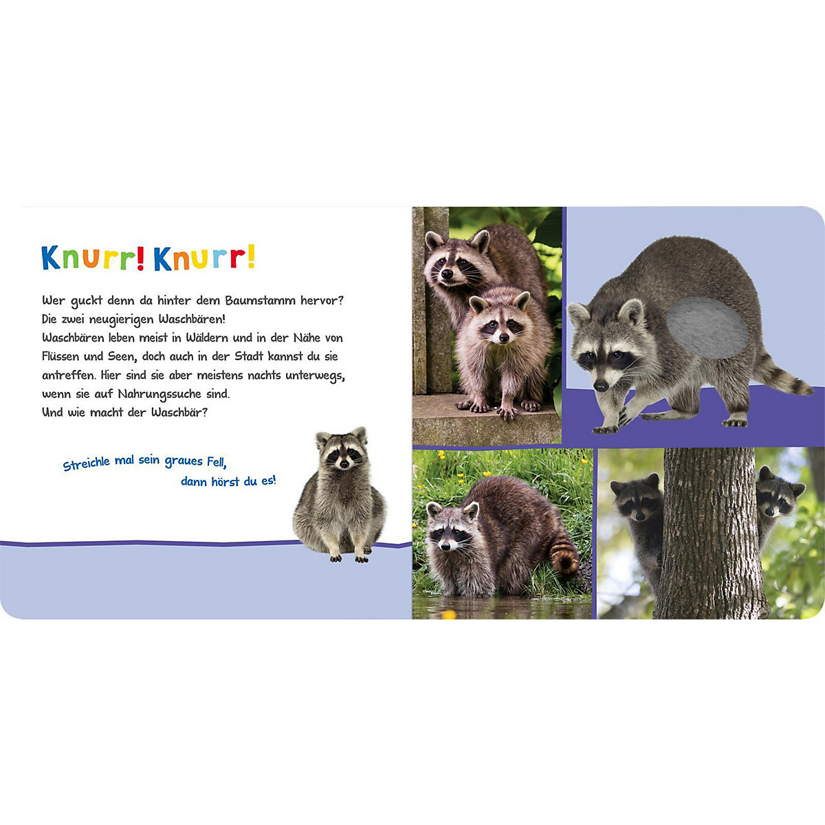 Hör mal rein, wer kann das sein - Kuschelige Tiere
