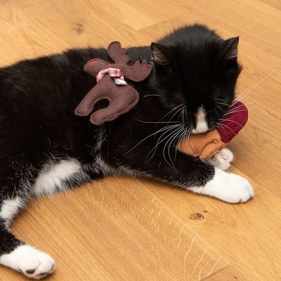 Katzenspielzeug Lebkuchen-Maus & Rentier