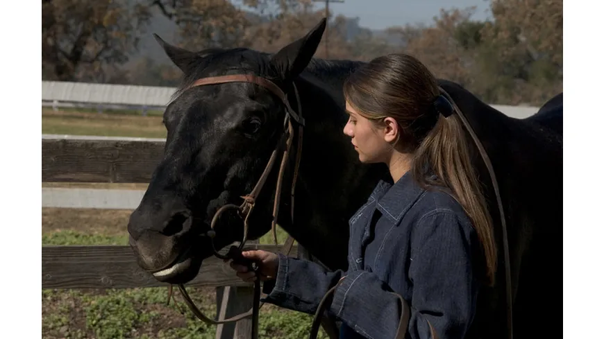 Black Beauty - Die Legende lebt weiter