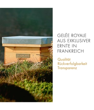 GUERLAIN Abeille Royale Handgel-40 ml