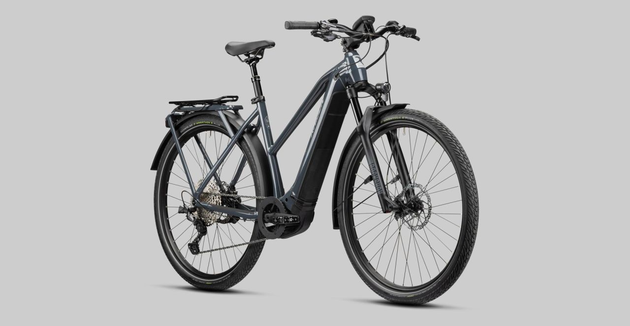 Radon Relate 9.0 Lady 625 kaufen | Bike-Discount