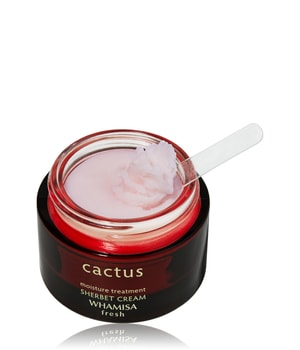 WHAMISA Fresh Cactus Sherbert Cream Gesichtscreme-45 ml