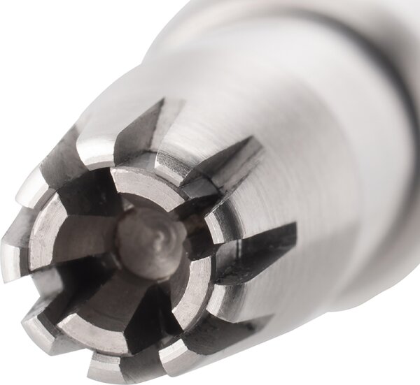 ZWILLING Beauty Premium Nasen- und Ohrenhaartrimmer - silver Trimmer