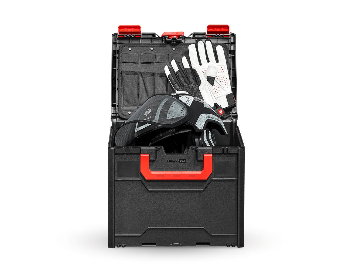 SET: Forsthelm Protos + STRAUSSbox 340 midi