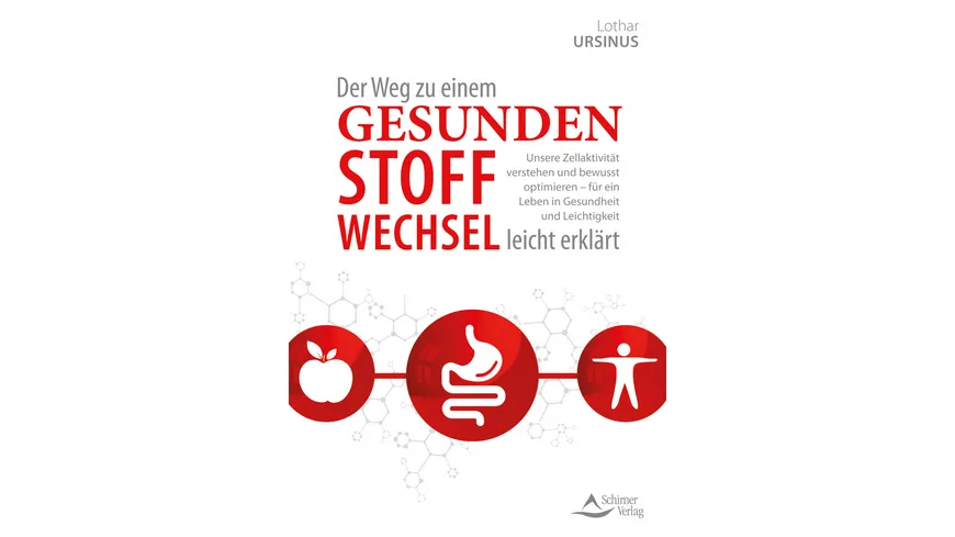 Der Weg zu einem gesunden Stoffwechsel - leicht erklärt
