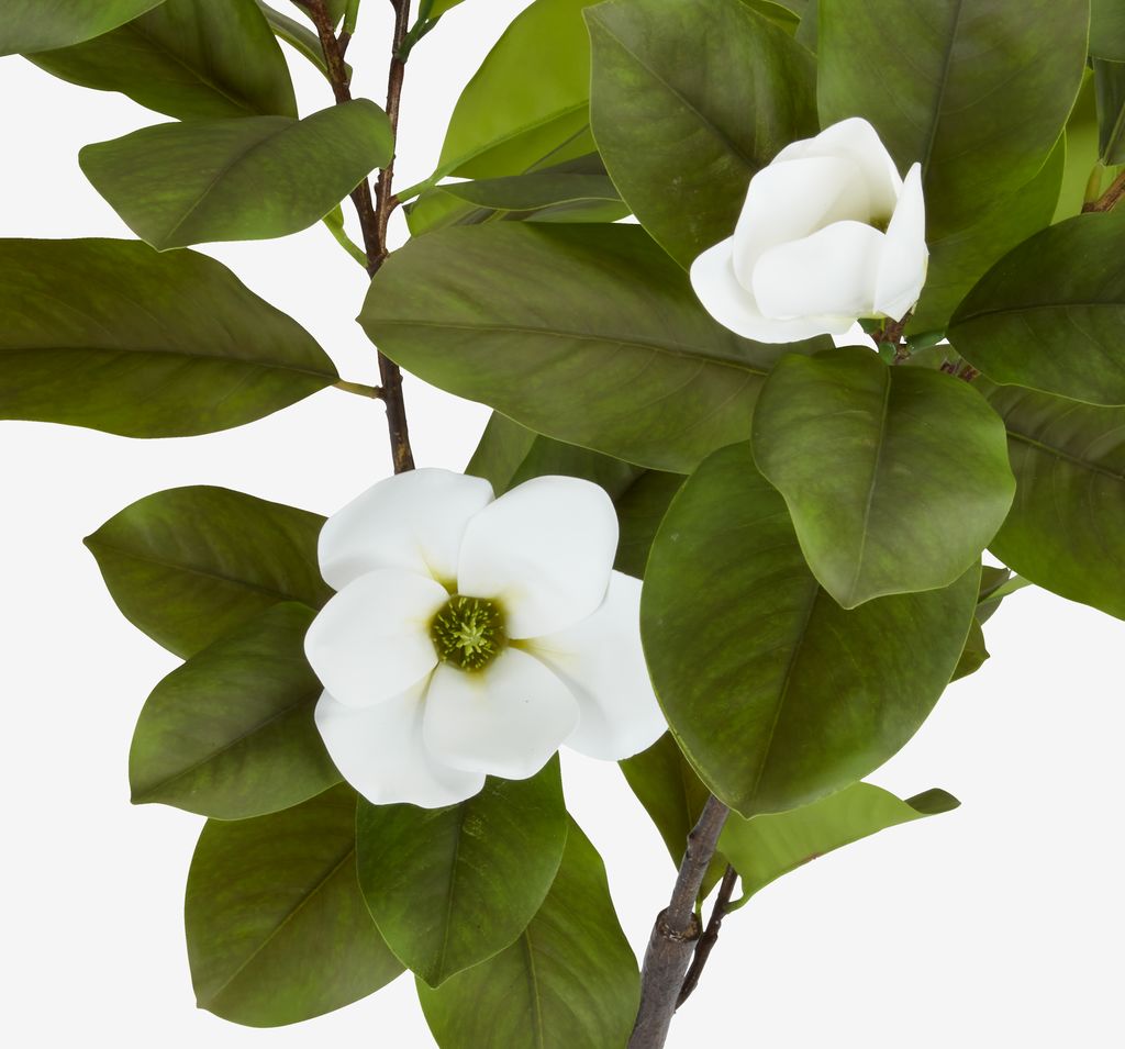 SPINDEL Planta artificial SPINDEL H120cm magnólia