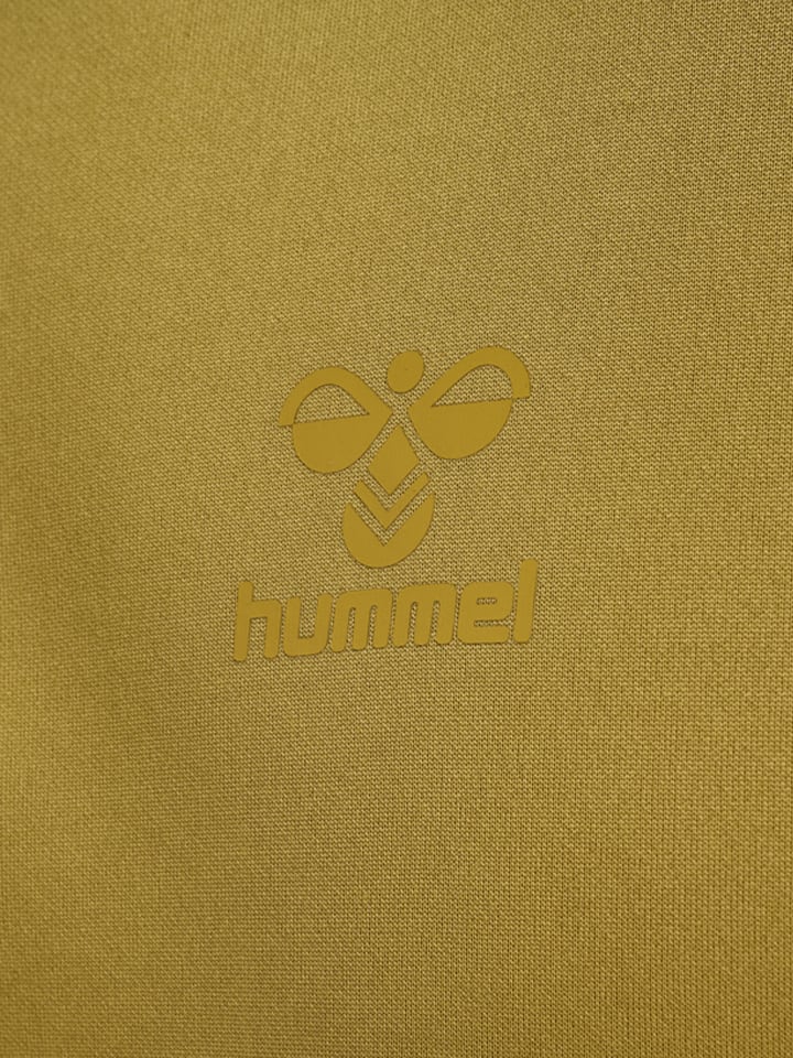 Hummel Hummel Kapuzenpullover Raglanärmel Hmlcima Herren in ANTIQUE GOLD günstig kaufen