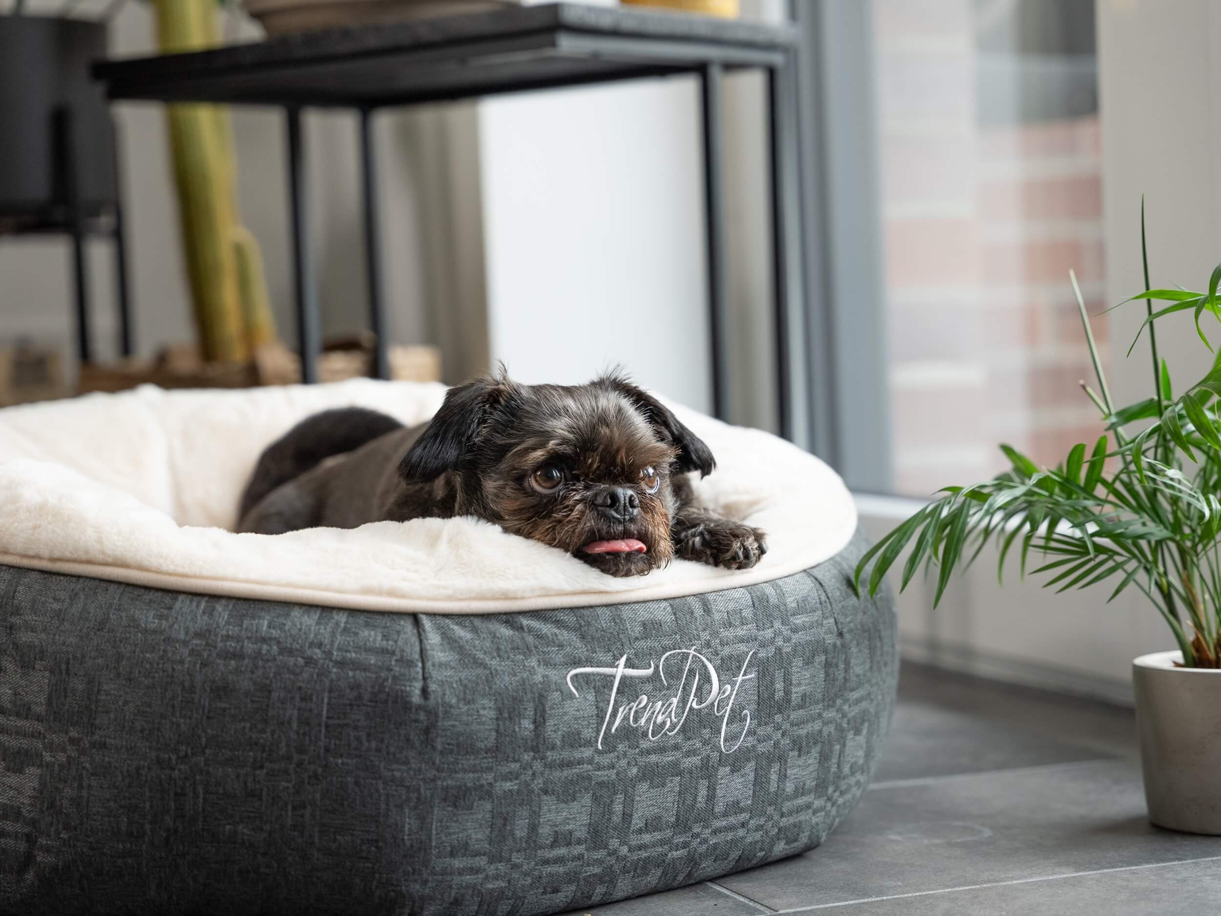 TrendPet Hundebetten TrendPet LunaBed Hundebett beige M