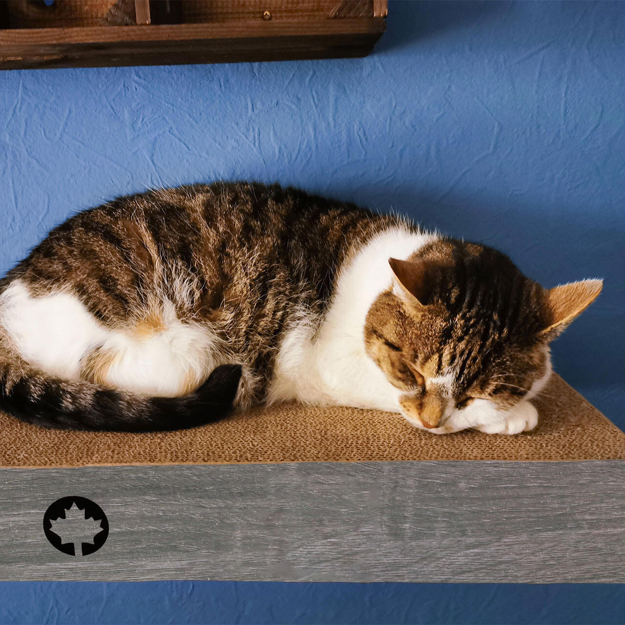 Canadian Cat Company Kratzbretter & Kratzpappen Canadian Cat Company 3er Set Kratzbrett Cloud für die Wand dunkelgrau