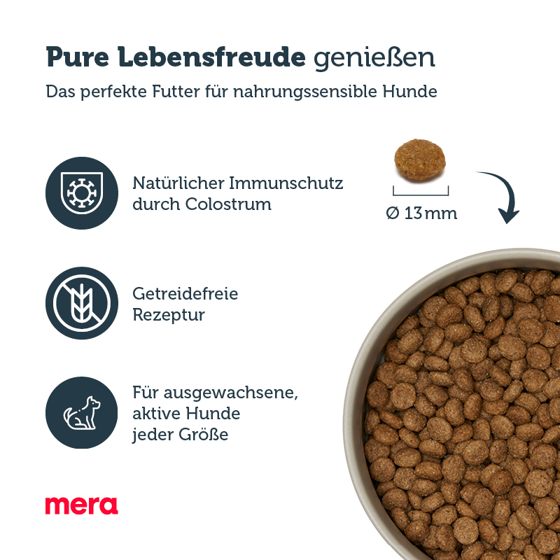 MERA Hundetrockenfutter MERA pure sensitive Senior Truthahn & Reis 2x12,5 kg