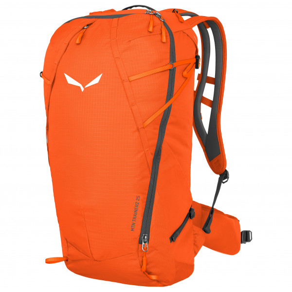 Salewa - Mountain Trainer 2 25 - Wanderrucksack