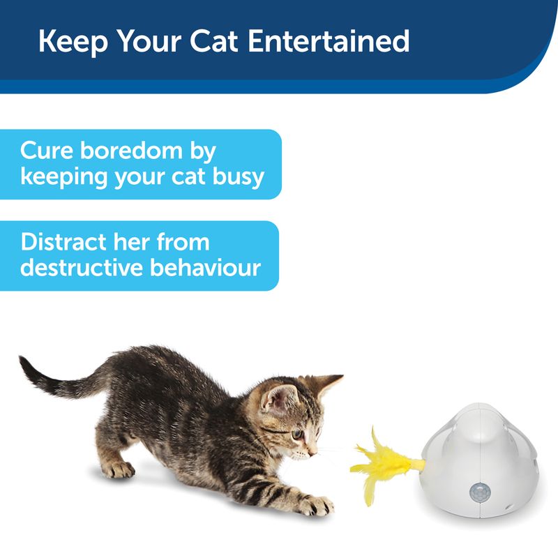 PetSafe Peek-a-Bird Elektronisches Katzenspielzeug