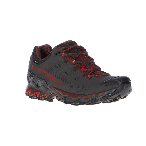 ULTRA RAPTOR II LEATHER GTX Herren - Wanderschuhe
