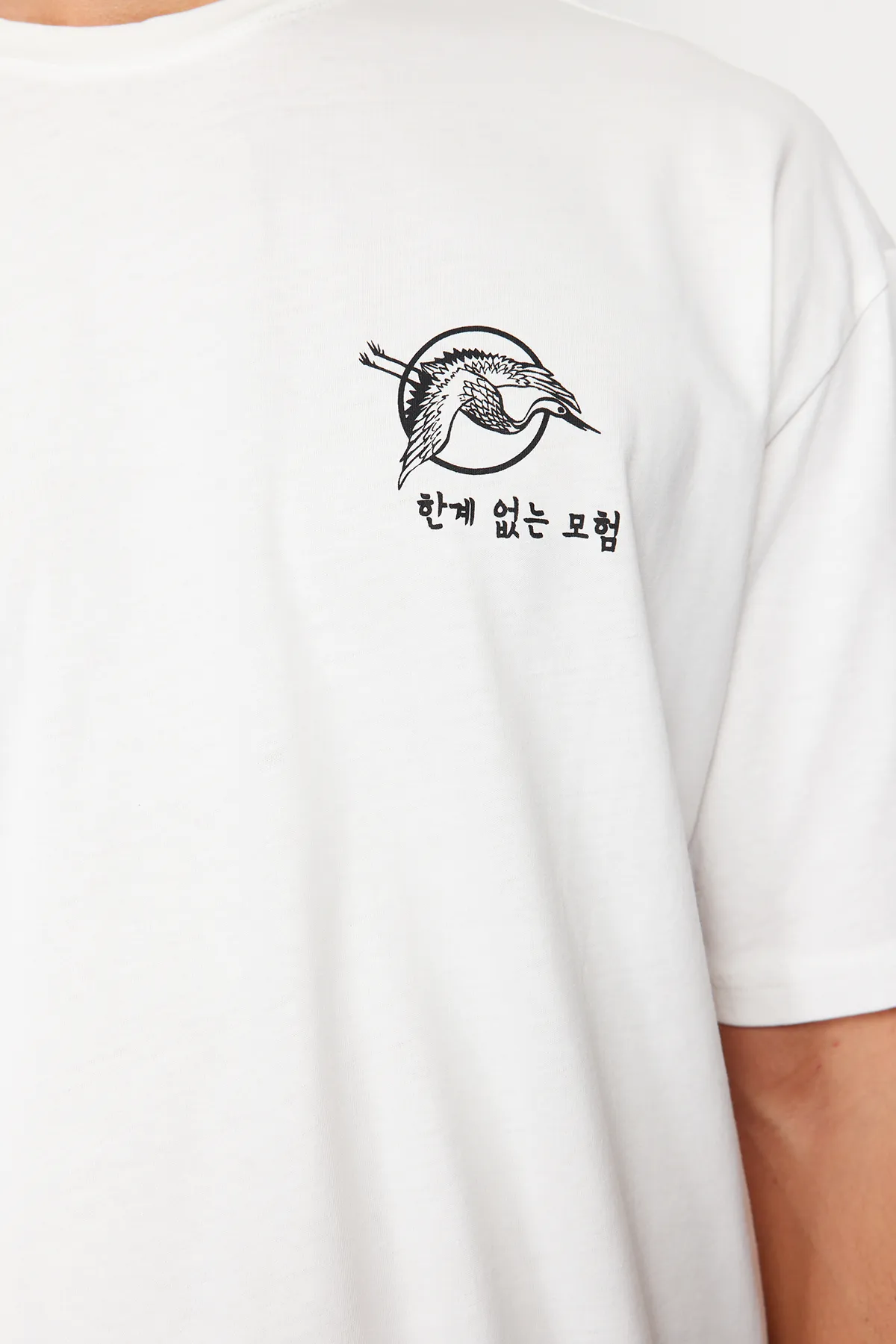 Trendyol Collection  Ecrufarbenes, übergroßes/weit geschnittenes, kurzärmliges, mit Fernost bedrucktes T-Shirt aus 100 % Baumwolle TMNSS23TS00170